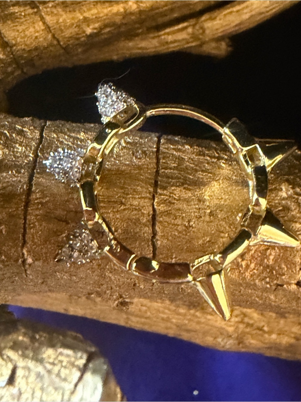 NWOT Elegant, Punky Sophistication